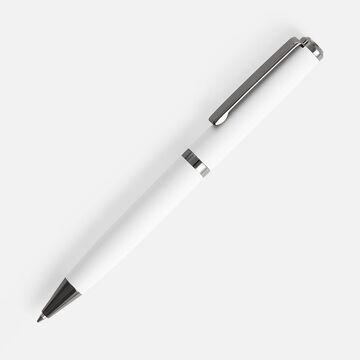 Ручка шариковая Inkish Gunmetal в футляре, белая