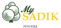 школа садик